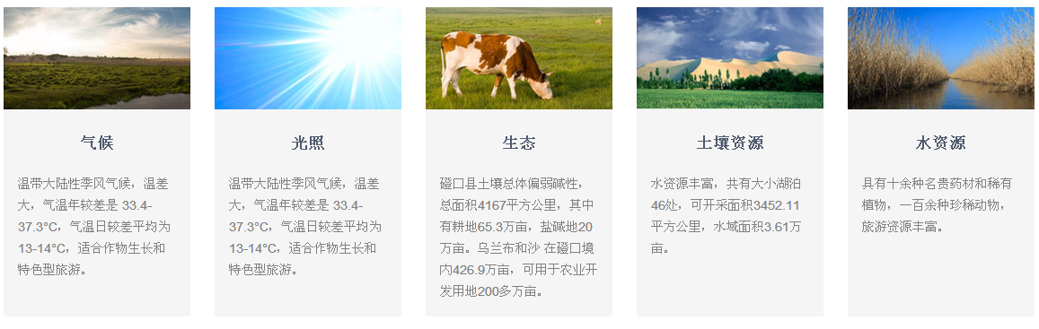 1560416268.png image.png